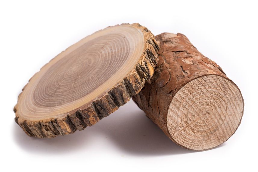 angelehnte Holzscheibe